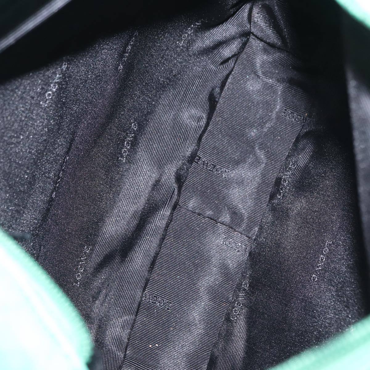 LOEWE Shoulder Bag Leather Green Auth mr1587