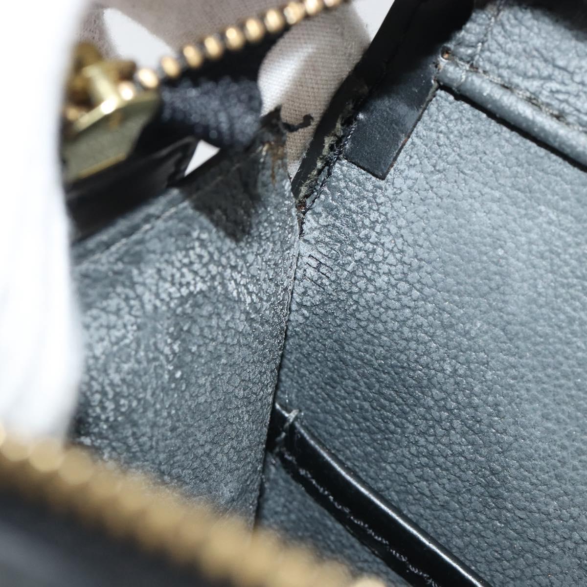 LOUIS VUITTON Epi Riviera Hand Bag Black M48182 LV Auth mr2585