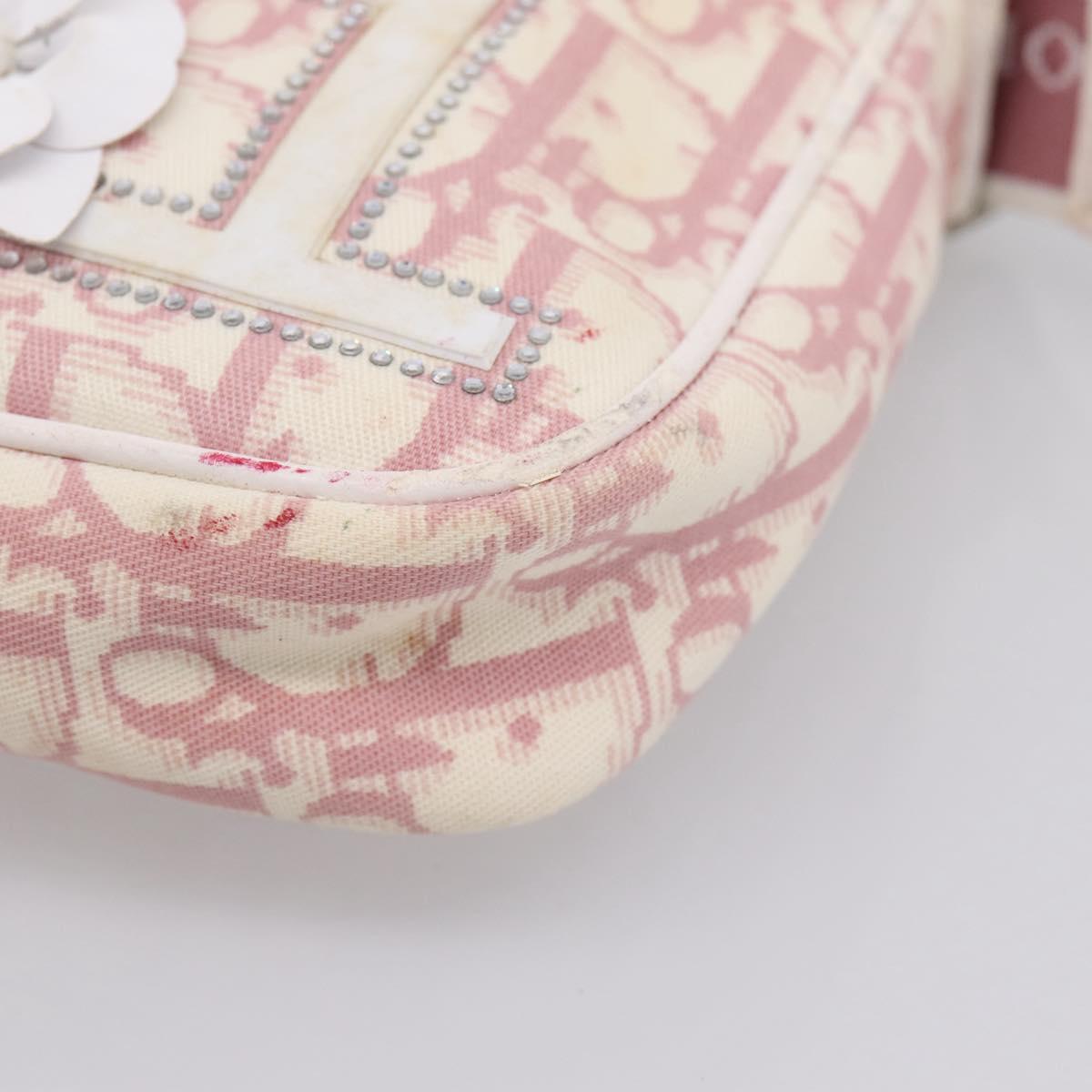 Christian Dior Trotter Shoulder Bag PVC Pink Silver Auth mr2945