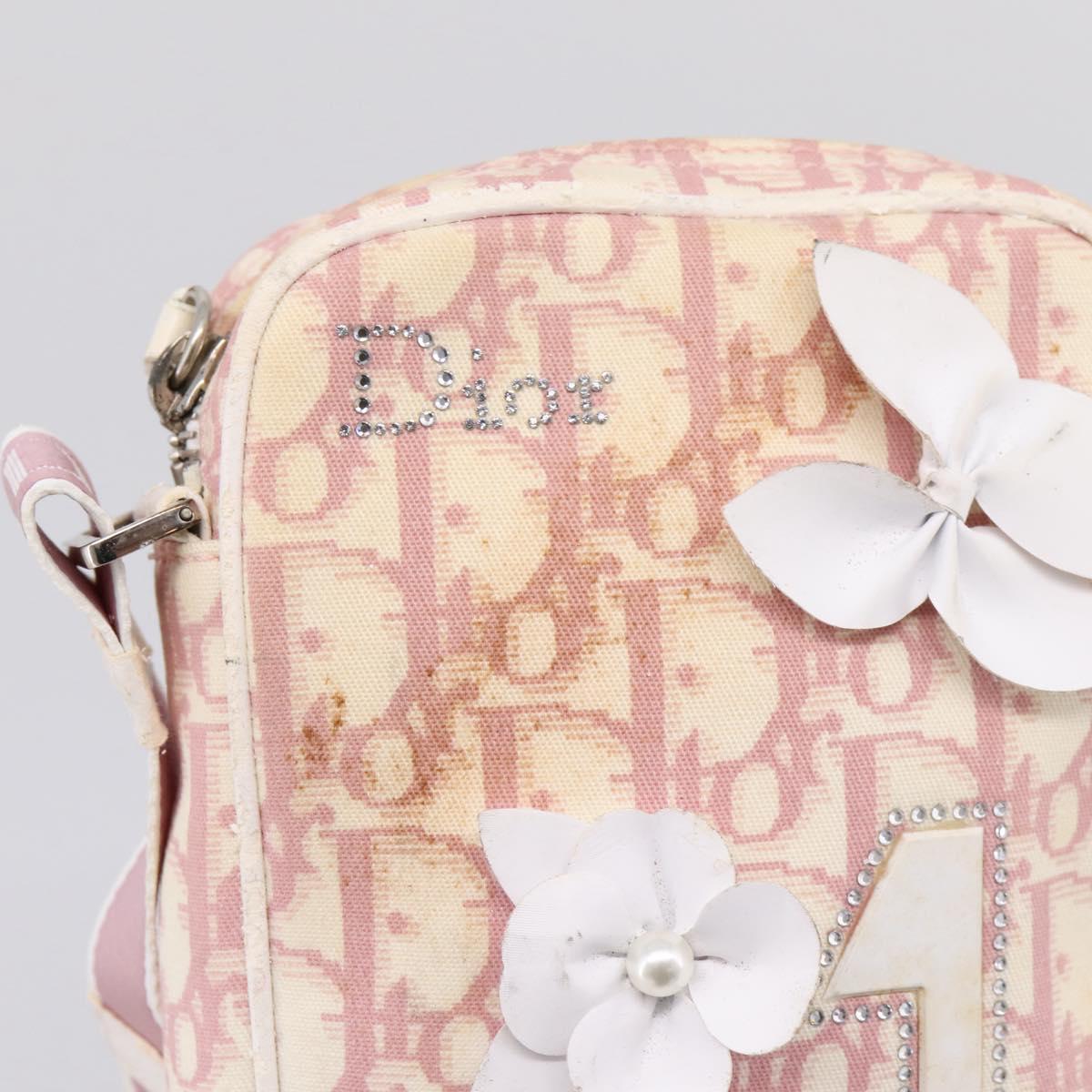 Christian Dior Trotter Shoulder Bag PVC Pink Silver Auth mr2945