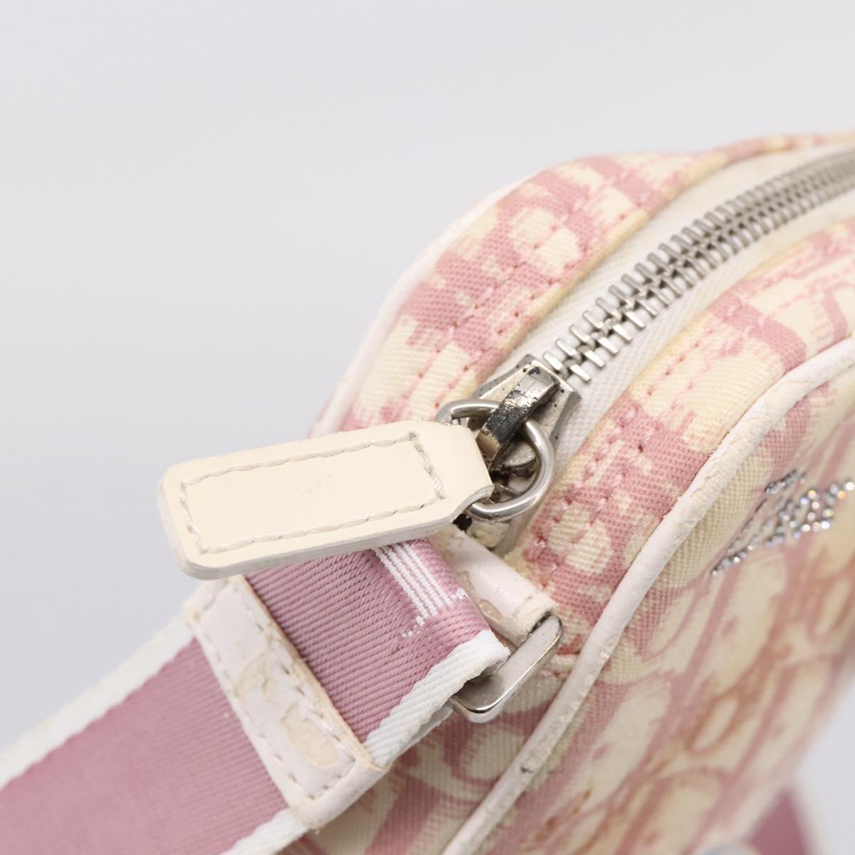 Christian Dior Trotter Shoulder Bag PVC Pink Silver Auth mr2945