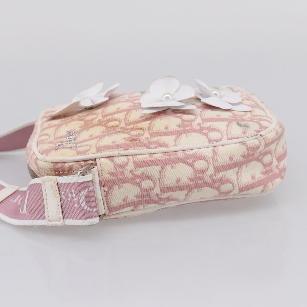 Christian Dior Trotter Shoulder Bag PVC Pink Silver Auth mr2945
