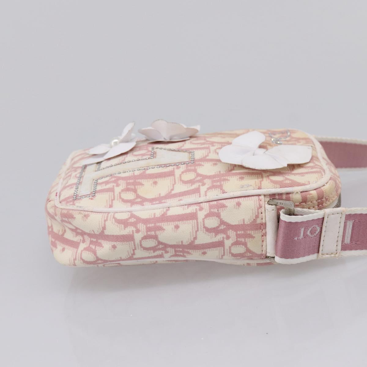 Christian Dior Trotter Shoulder Bag PVC Pink Silver Auth mr2945
