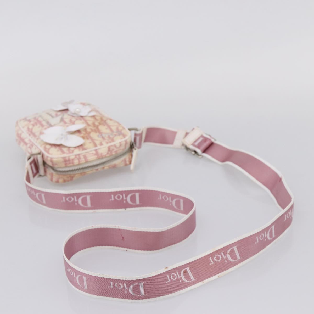 Christian Dior Trotter Shoulder Bag PVC Pink Silver Auth mr2945