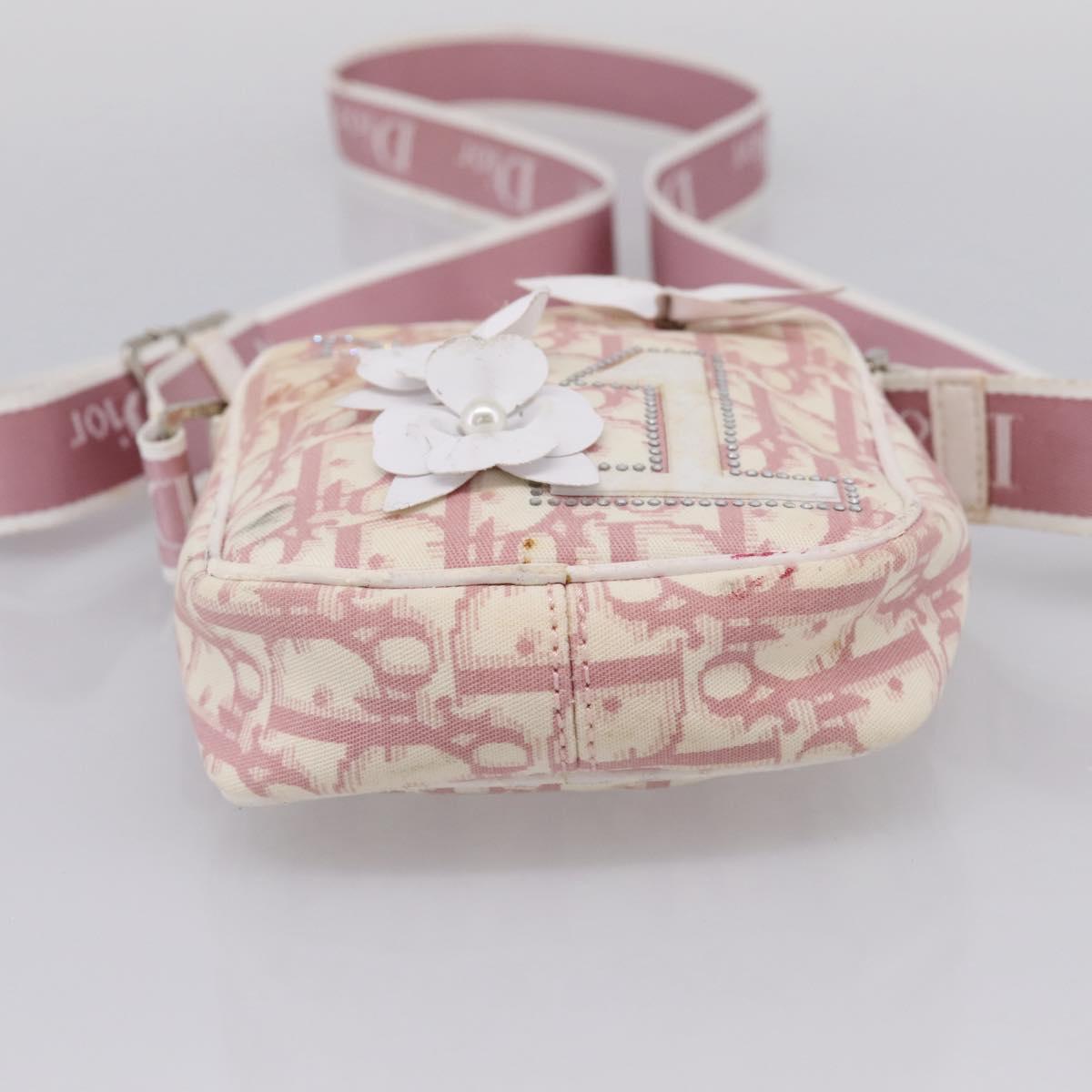 Christian Dior Trotter Shoulder Bag PVC Pink Silver Auth mr2945