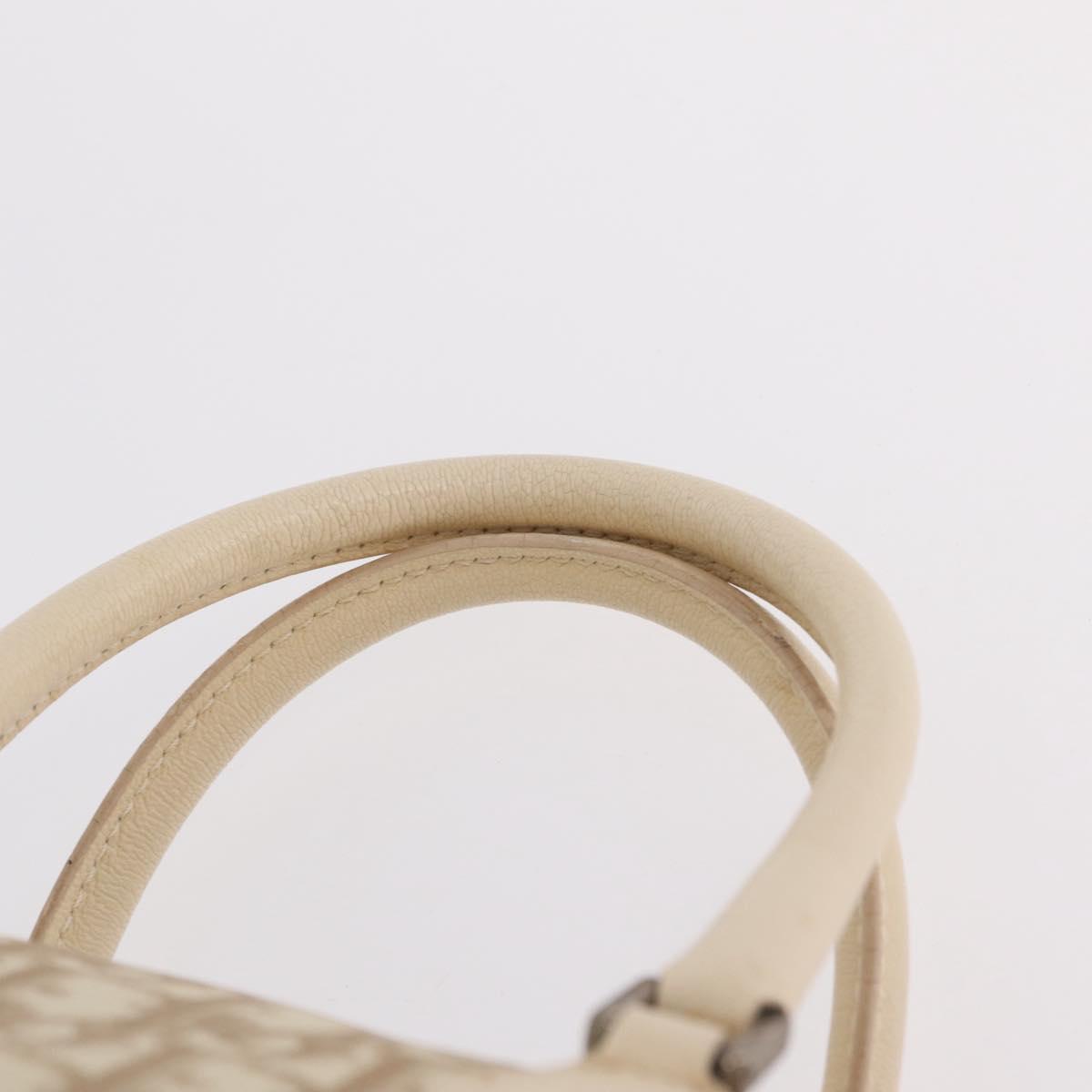 Christian Dior Trotter Floral Hand Bag PVC Beige Silver Auth mr2988V