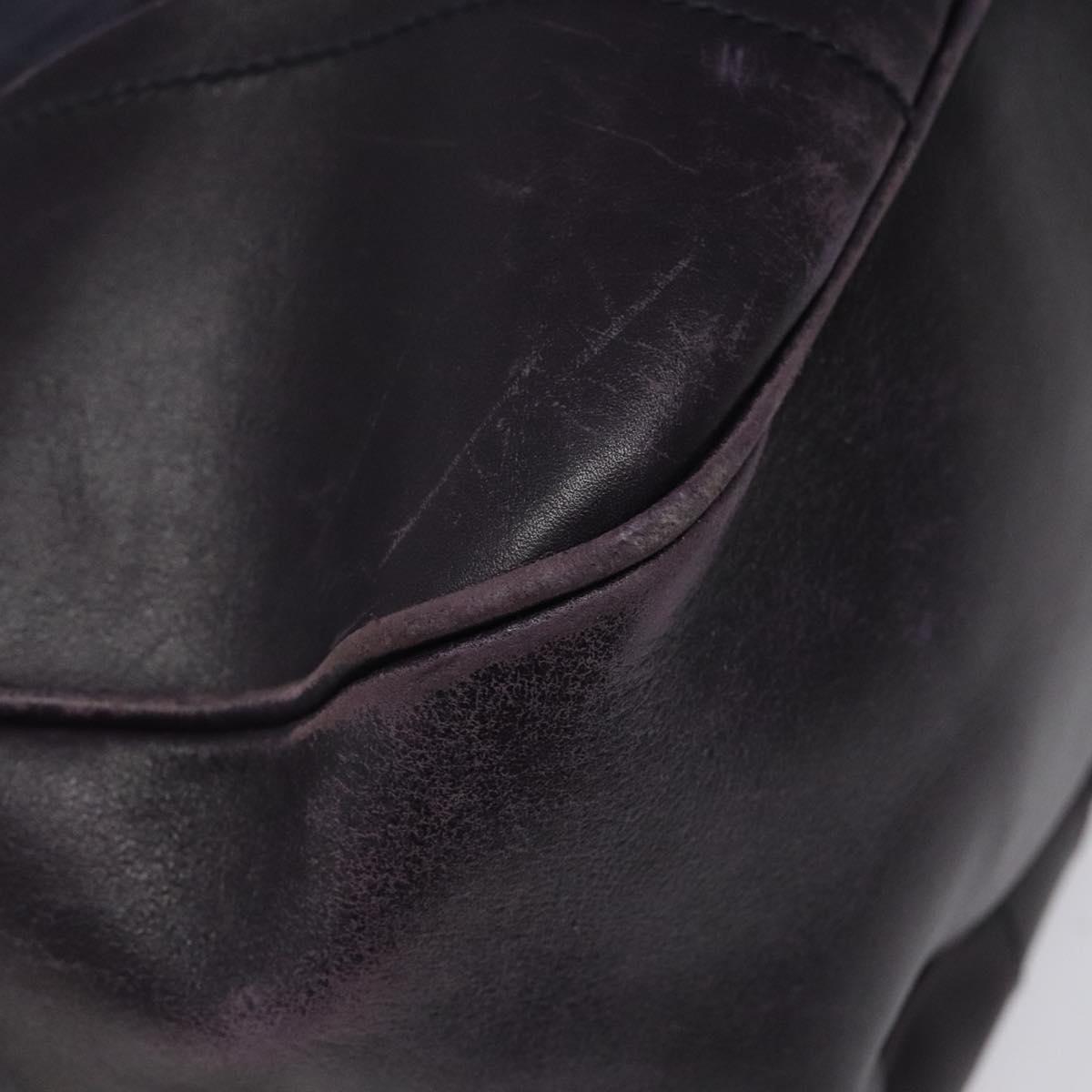 PRADA Shoulder Bag Nylon Purple Auth nb139V