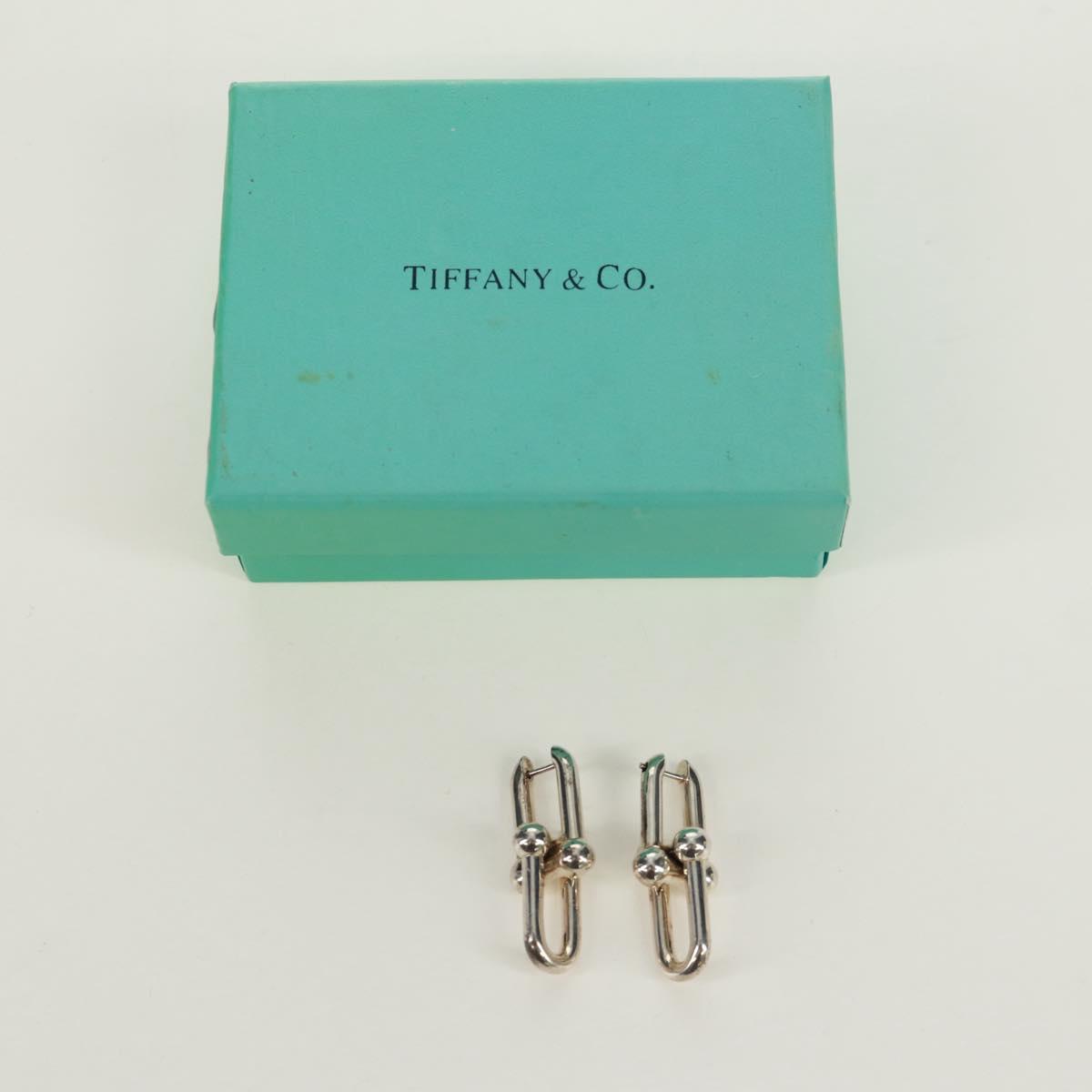 TIFFANY&Co. Pierce Hardware Small Link Ag925 Silver Auth SK019SM