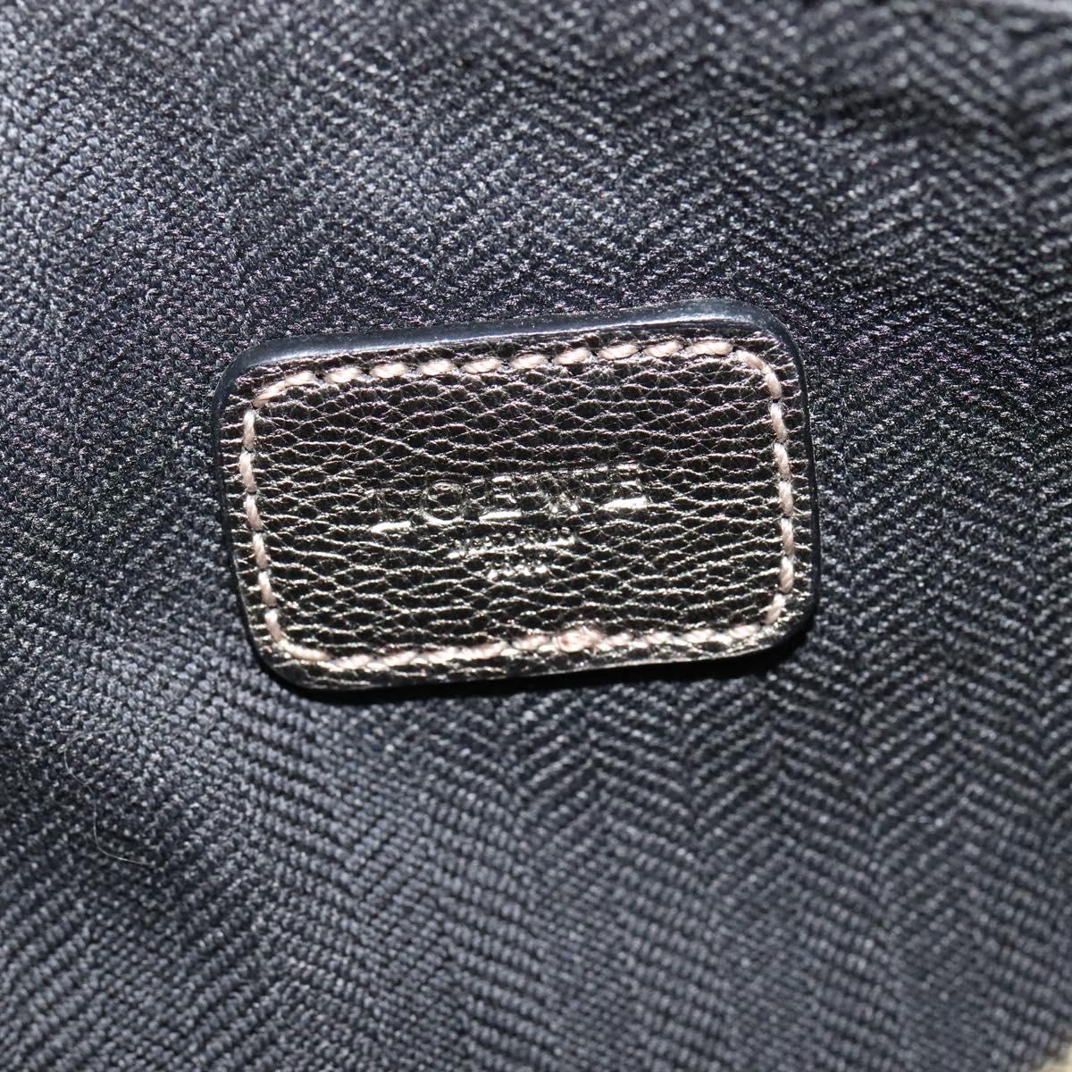 LOEWE Shoulder Pouch Leather Gold Auth sw1137