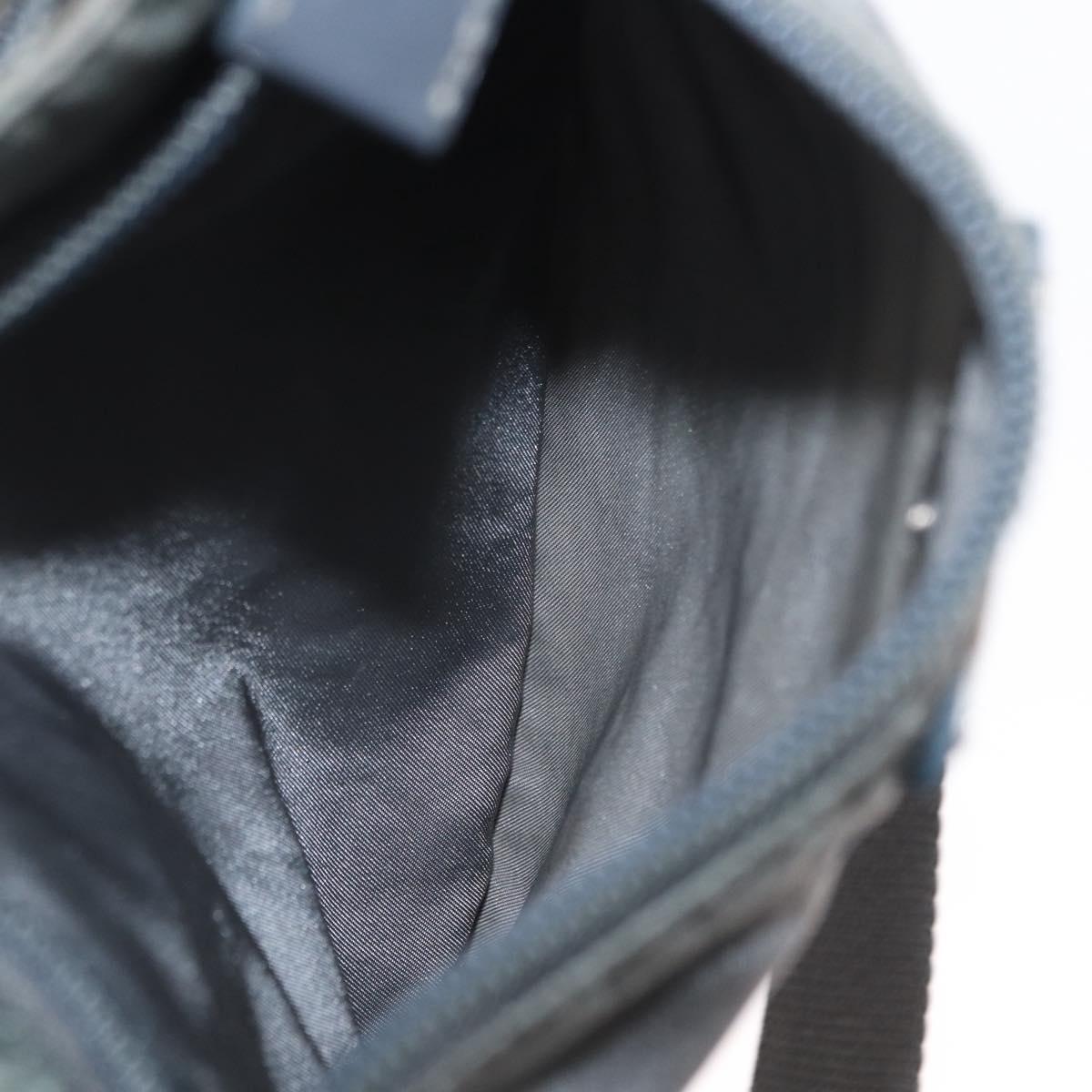 PRADA Shoulder Bag Nylon Gray Silver Auth SW1833