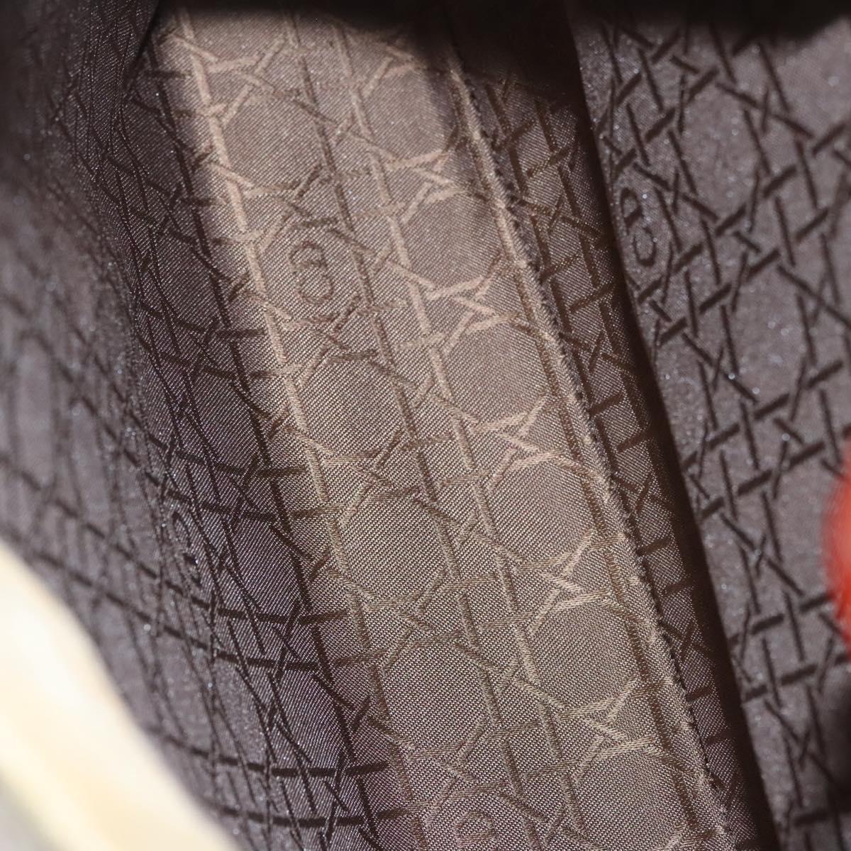 Christian Dior Lady Dior Hand Bag Nylon Plastic Beige Silver Auth sw312