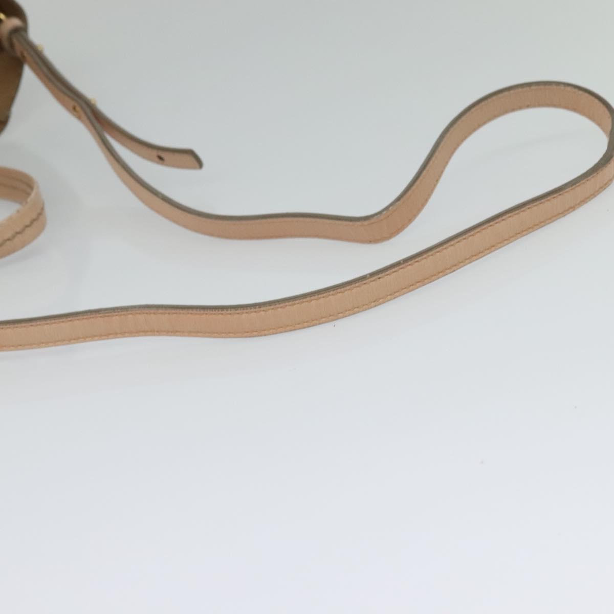 CELINE Vertical Cavas Hand Bag Leather 2way Pink Gold Auth sw418