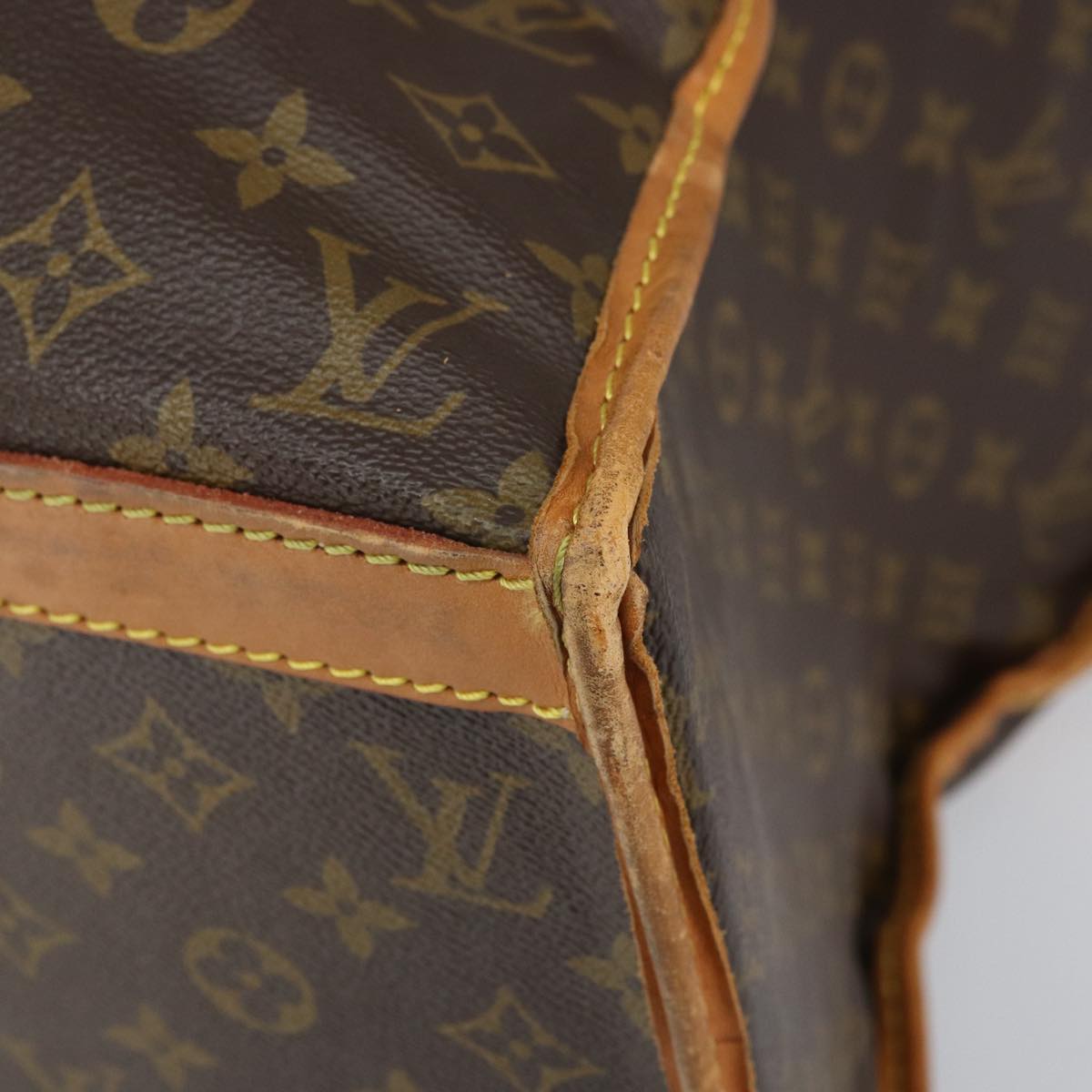 LOUIS VUITTON Monogram Sac Shan 55 Pet Carry M42020 LV Auth th4065