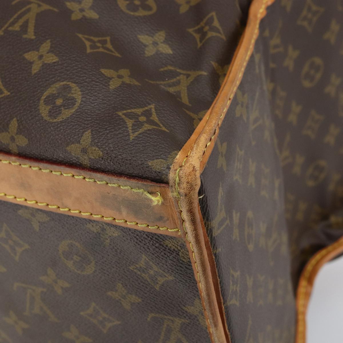 LOUIS VUITTON Monogram Sac Shan 55 Pet Carry M42020 LV Auth th4065