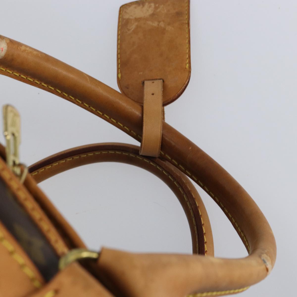 LOUIS VUITTON Monogram Sac Shan 55 Pet Carry M42020 LV Auth th4065