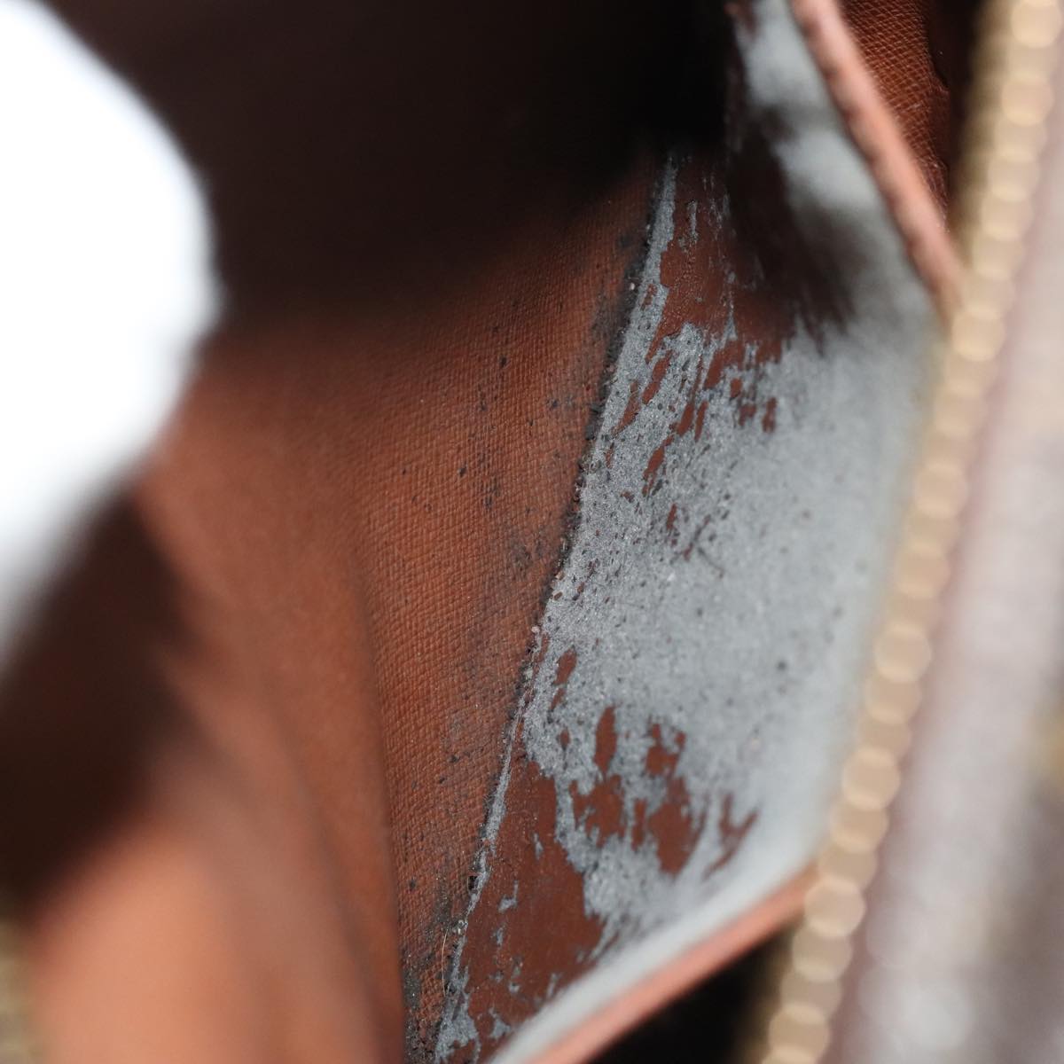 LOUIS VUITTON Monogram Amazon Shoulder Bag M45236 LV Auth th5275