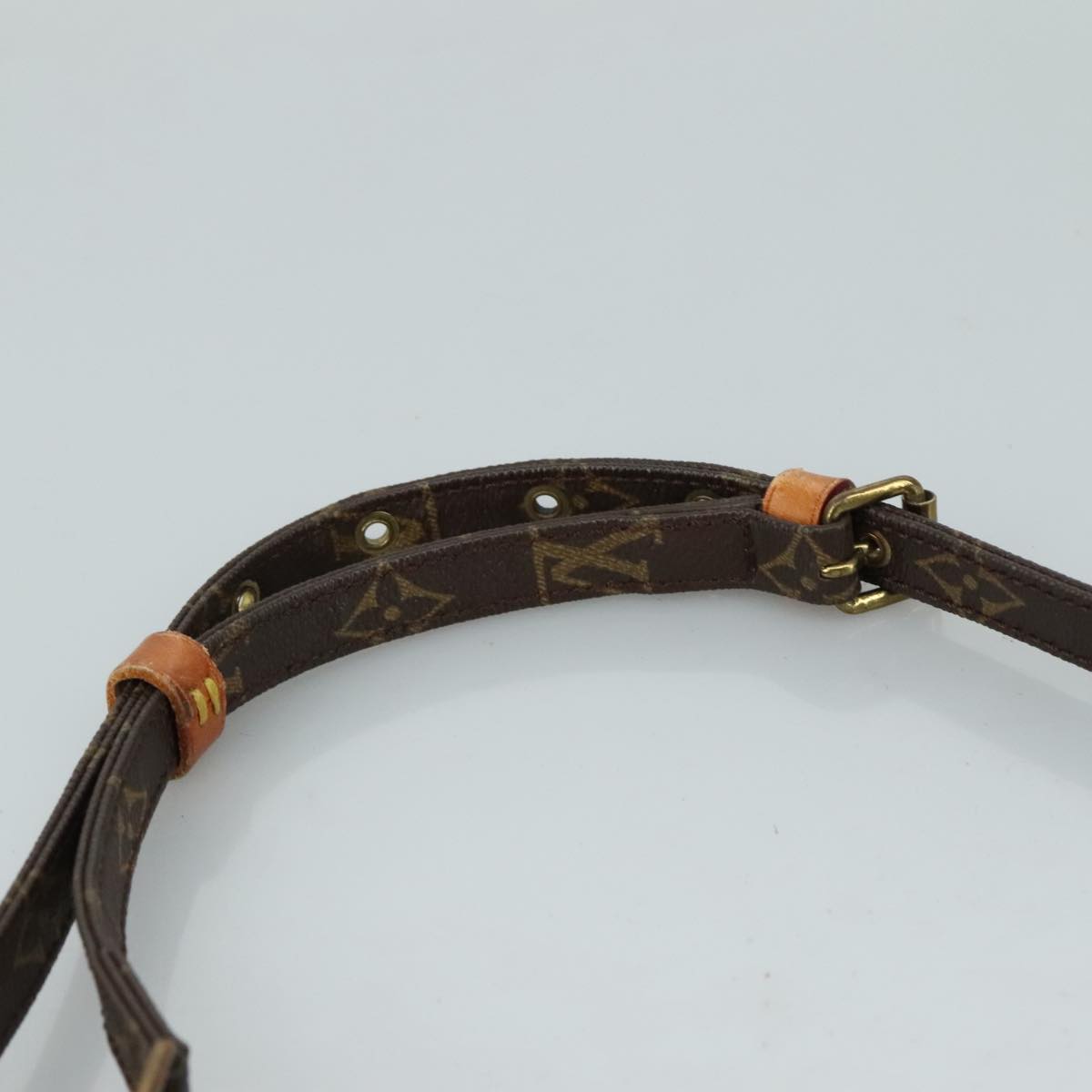 LOUIS VUITTON Monogram Danube Shoulder Bag M45266 LV Auth th5577