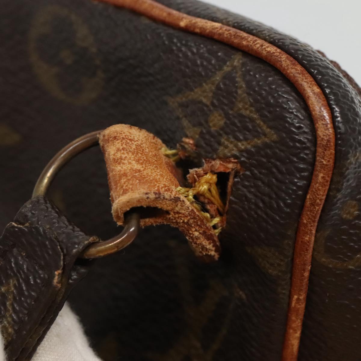 LOUIS VUITTON Monogram Mini Amazon Shoulder Bag M45238 LV Auth th6190