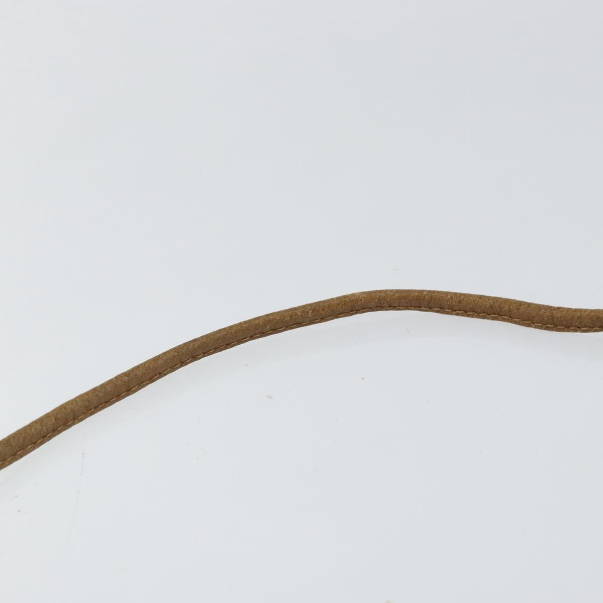 GUCCI GG PLUS Canvas Shoulder Bag PVC Leather Beige Auth th6401