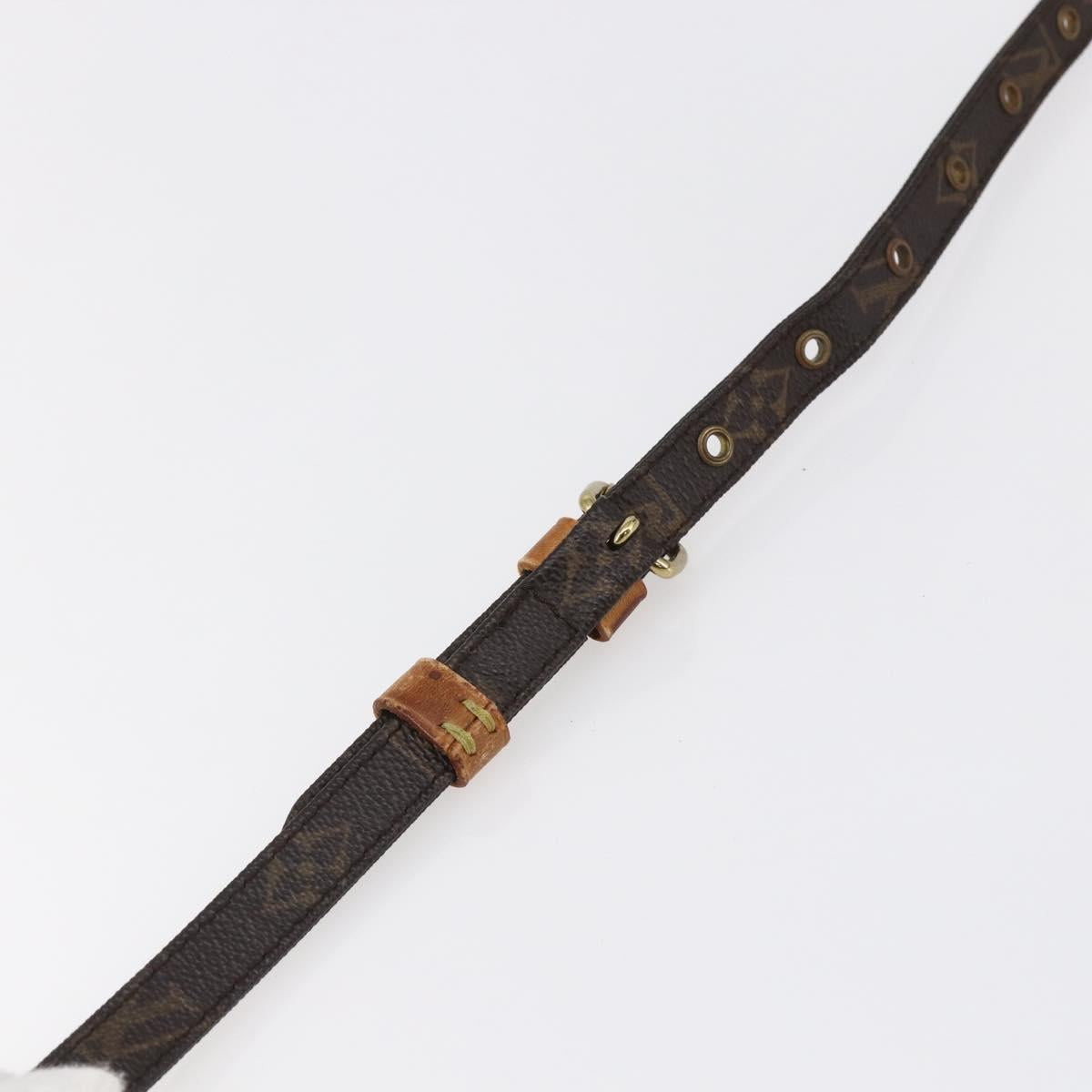 LOUIS VUITTON Monogram Danube Shoulder Bag M45266 LV Auth th6435