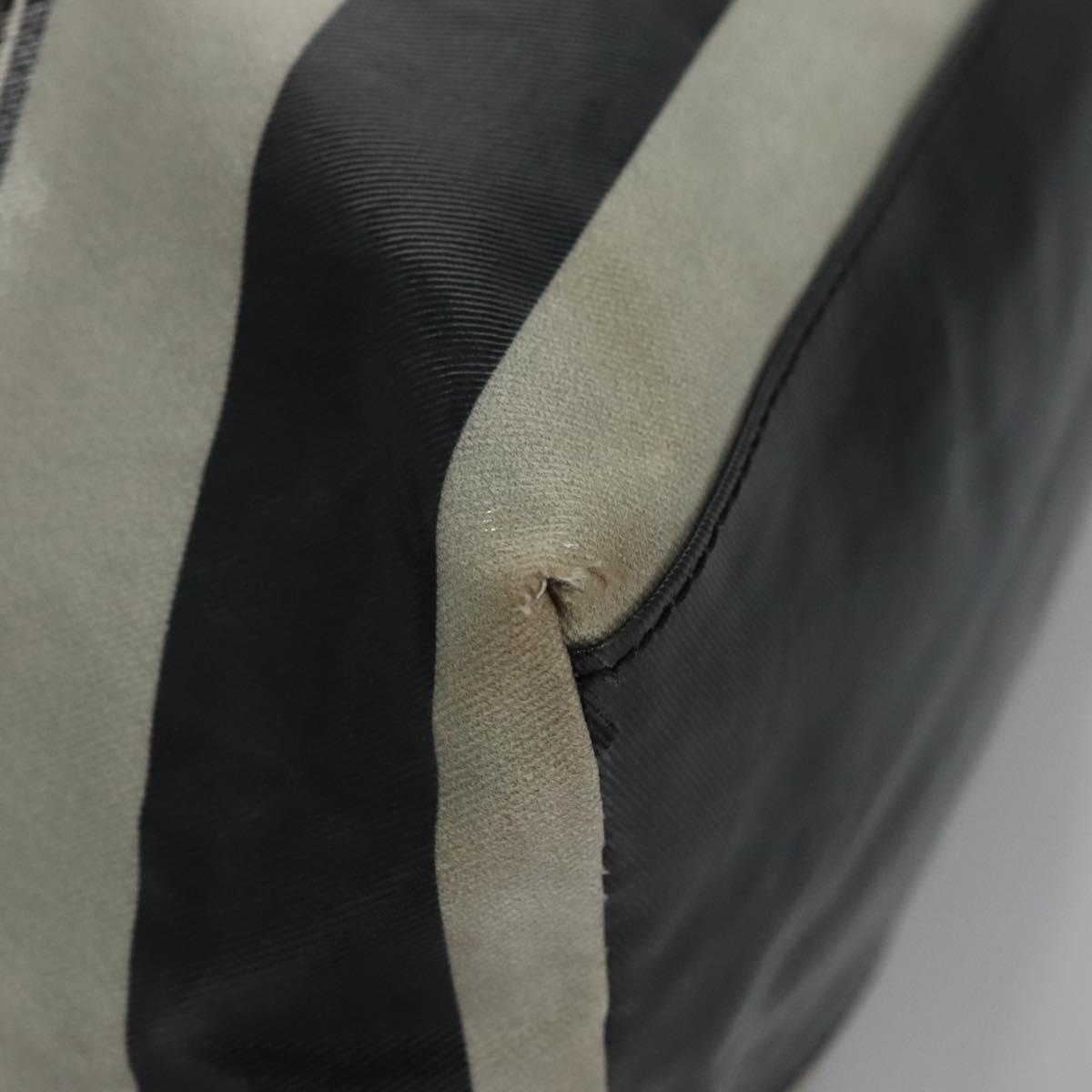 BURBERRY Blue Label Coated Canvas Black White Auth ti2895