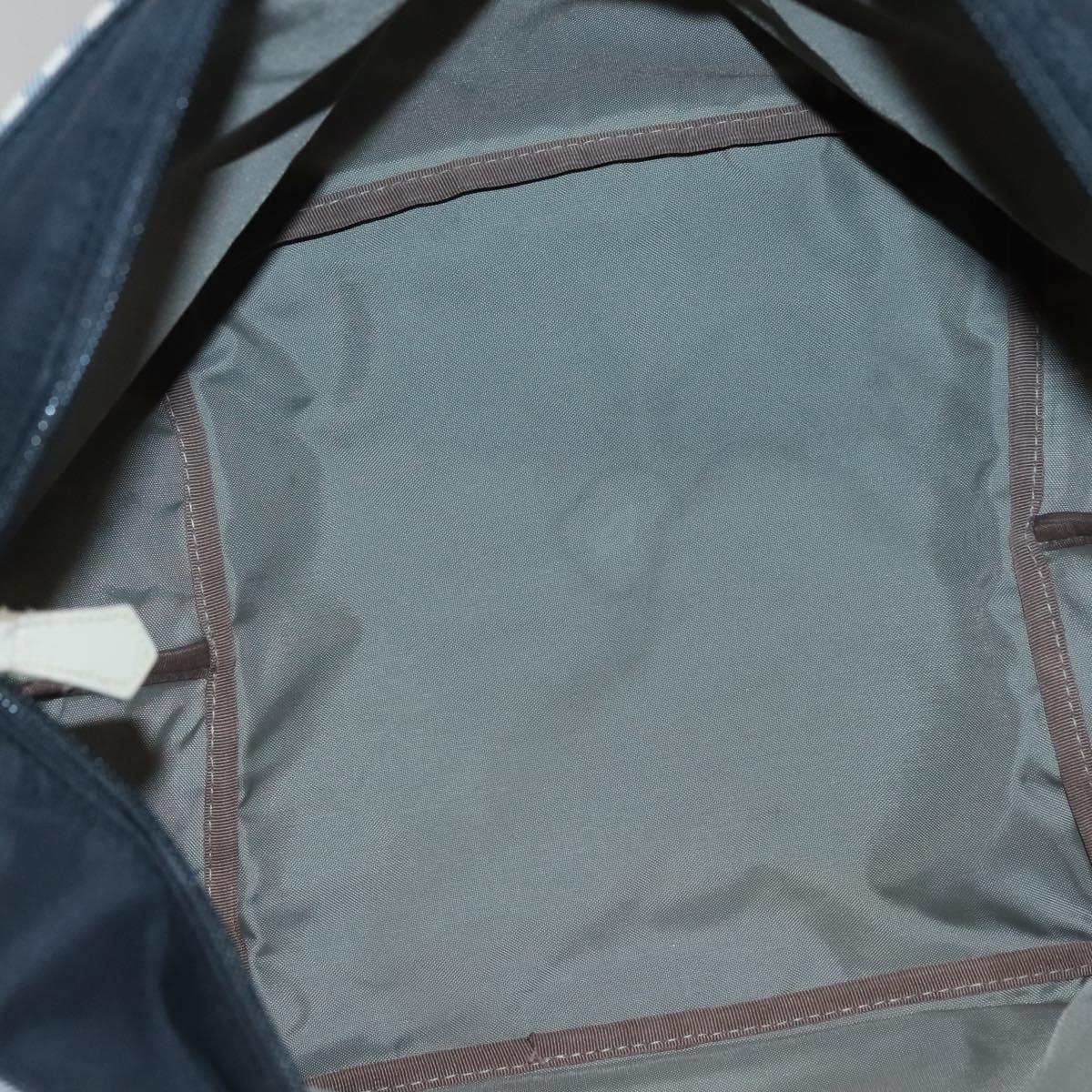 BURBERRY Nova Check Blue Label Hand Bag Nylon Gray Silver Auth ti3042