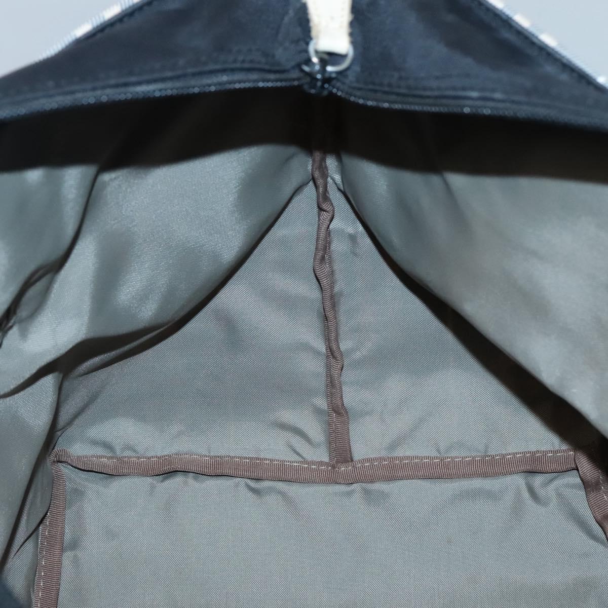 BURBERRY Nova Check Blue Label Hand Bag Nylon Gray Silver Auth ti3042