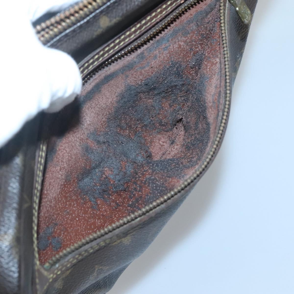 LOUIS VUITTON Monogram Marly Dragonne GM Clutch Bag M51825 LV Auth ti3064