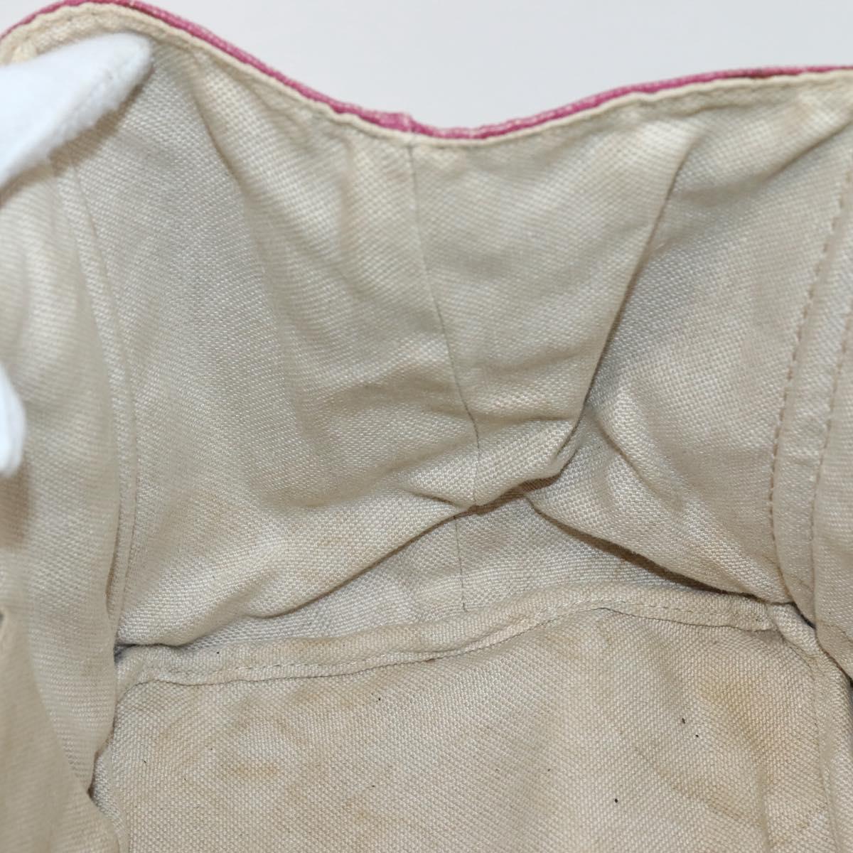 PRADA Canapa MM Hand Bag Canvas Pink Gold Auth ti3437