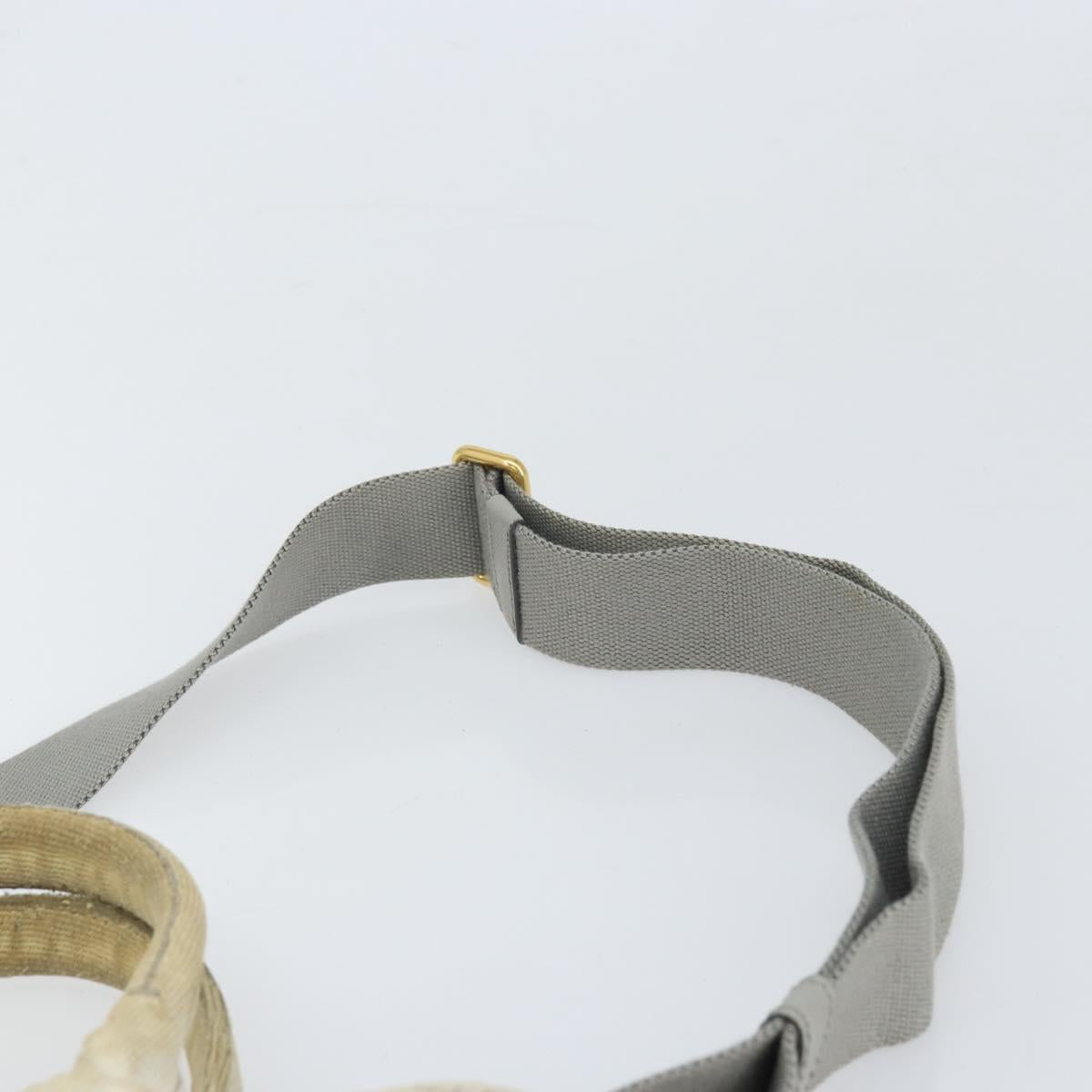 PRADA Canapa PM Hand Bag Canvas 2way Gray Gold Auth ti3731