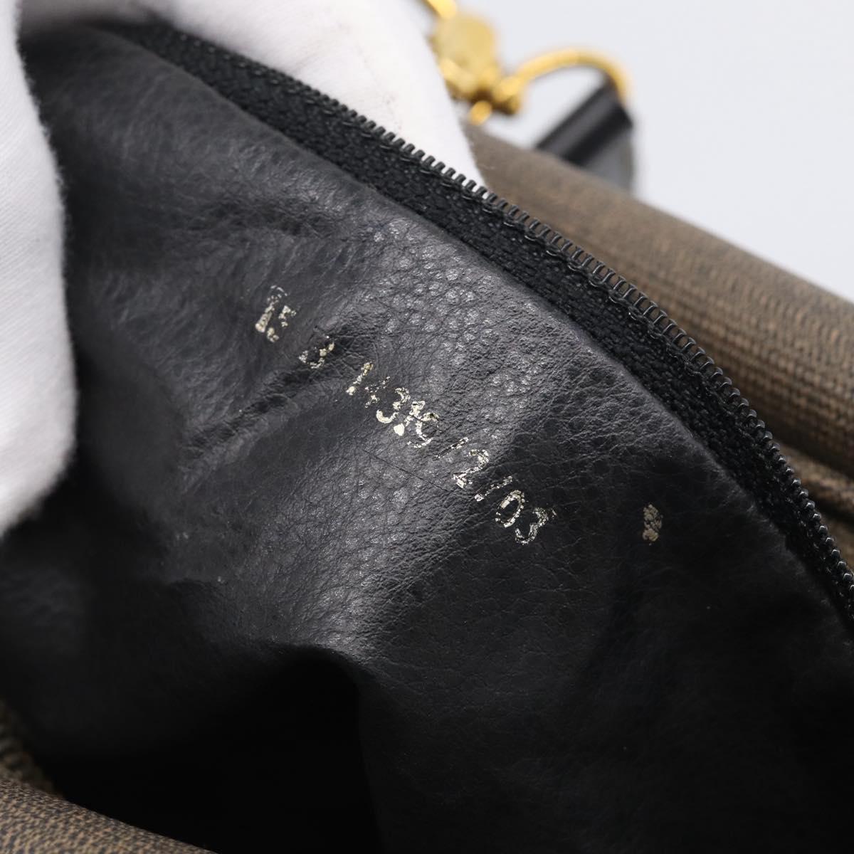 FENDI Hand Bag Canvas 2way Brown Gold Tone Auth ti4049