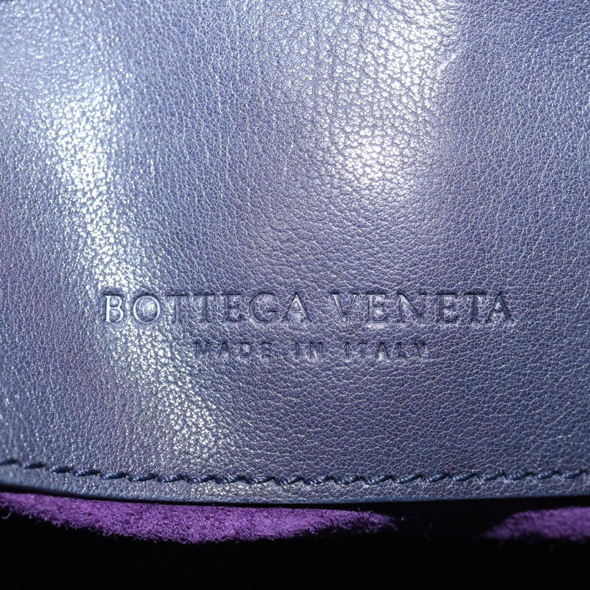 BOTTEGA VENETA Hand Bag Leather Purple Auth yk11360