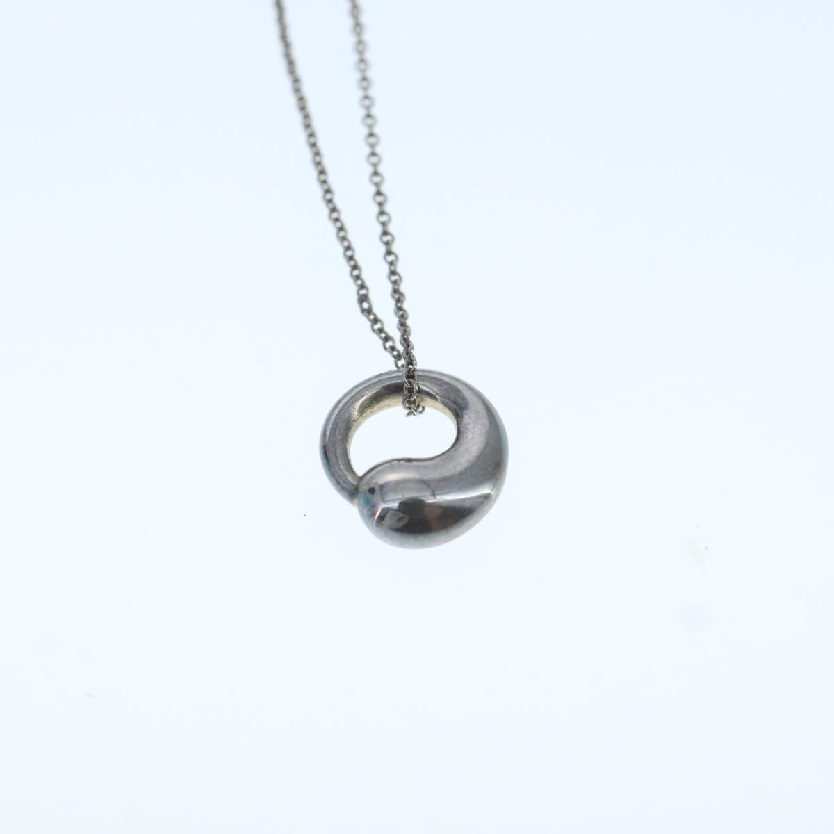 TIFFANY&Co. Eternal Circle Necklace Ag925 Silver tone Auth yk16202