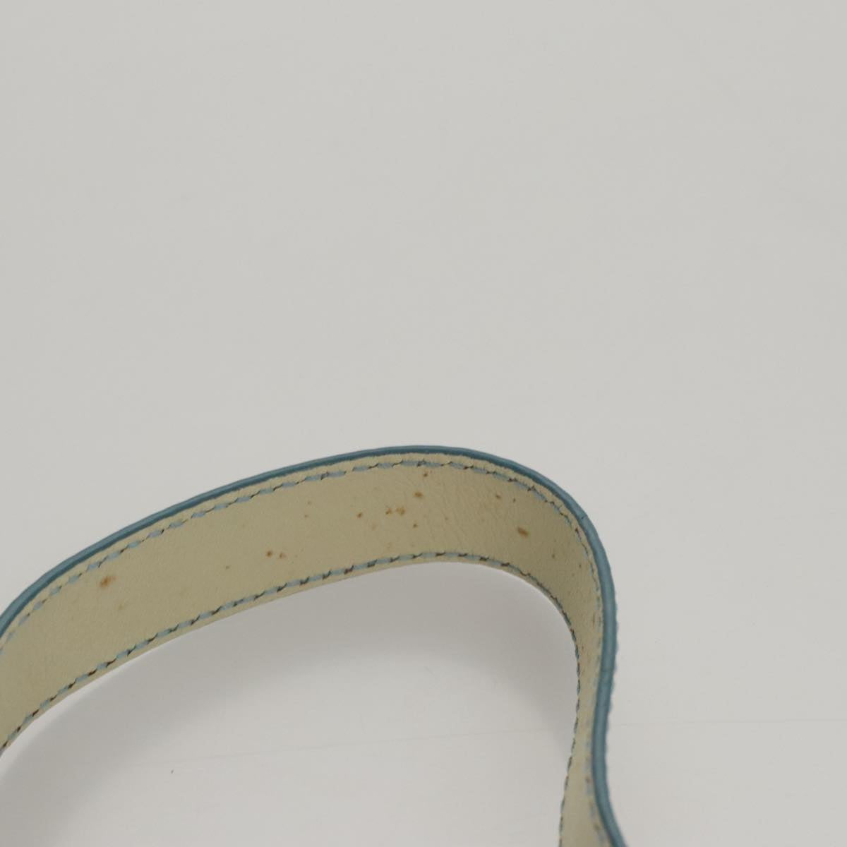 CELINE C Macadam Canvas Shoulder Bag Light Blue Auth yk17148