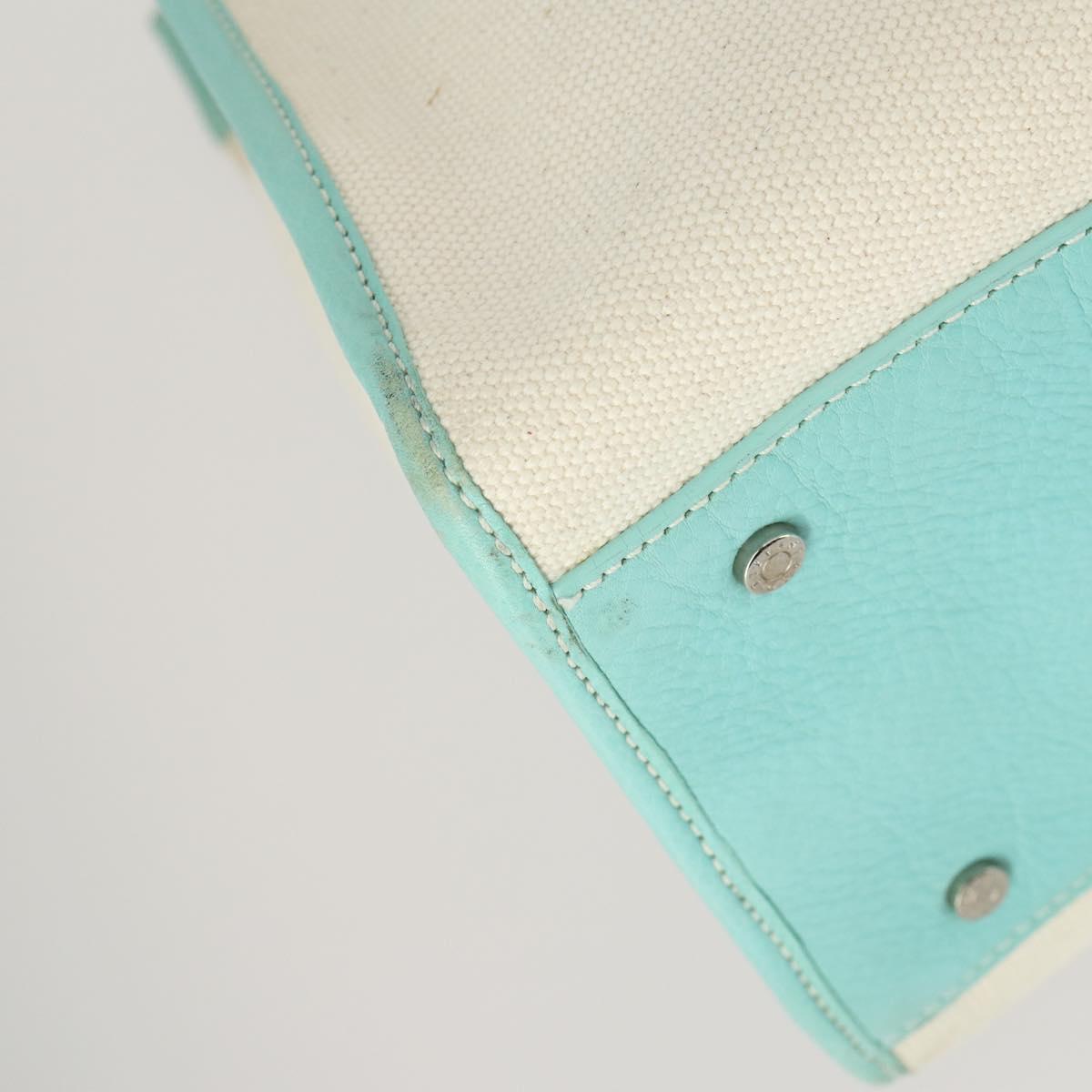 TIFFANY&Co. Hand Bag Canvas 2way White Silver Auth yk19846