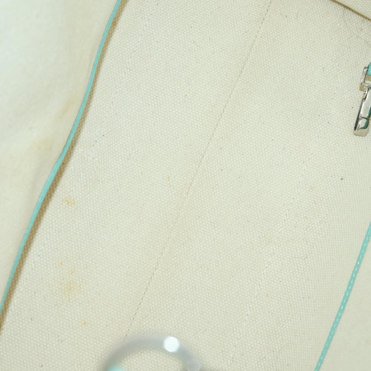 TIFFANY&Co. Hand Bag Canvas 2way White Silver Auth yk19846