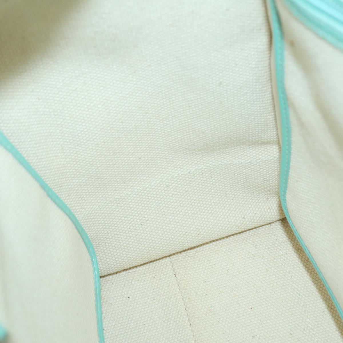 TIFFANY&Co. Hand Bag Canvas 2way White Silver Auth yk19846