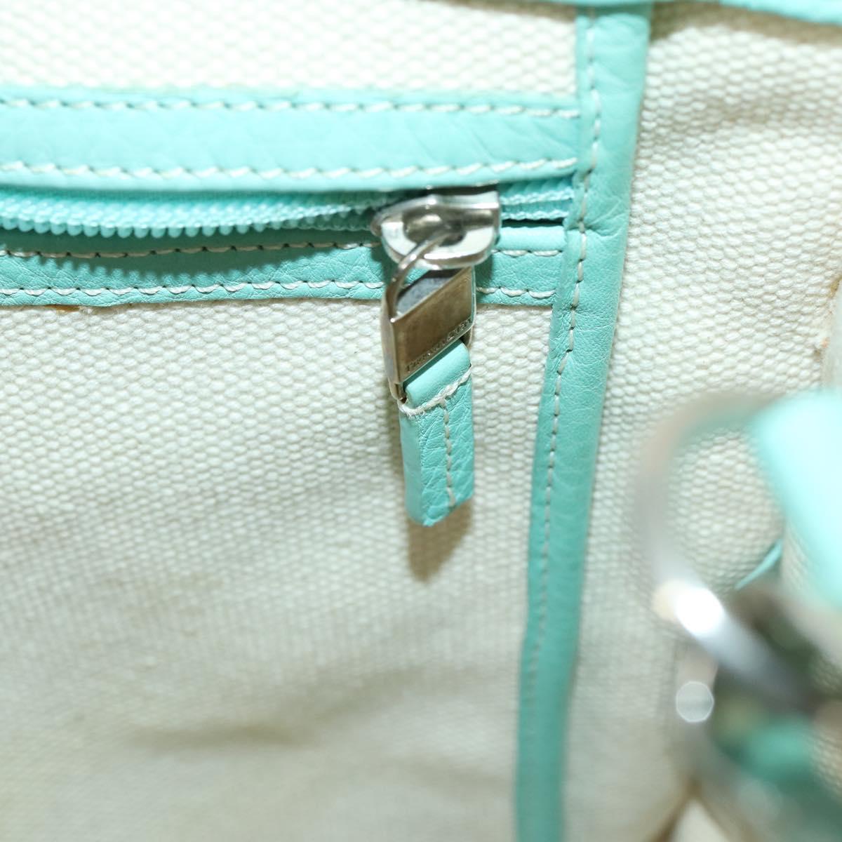 TIFFANY&Co. Hand Bag Canvas 2way White Silver Auth yk19846