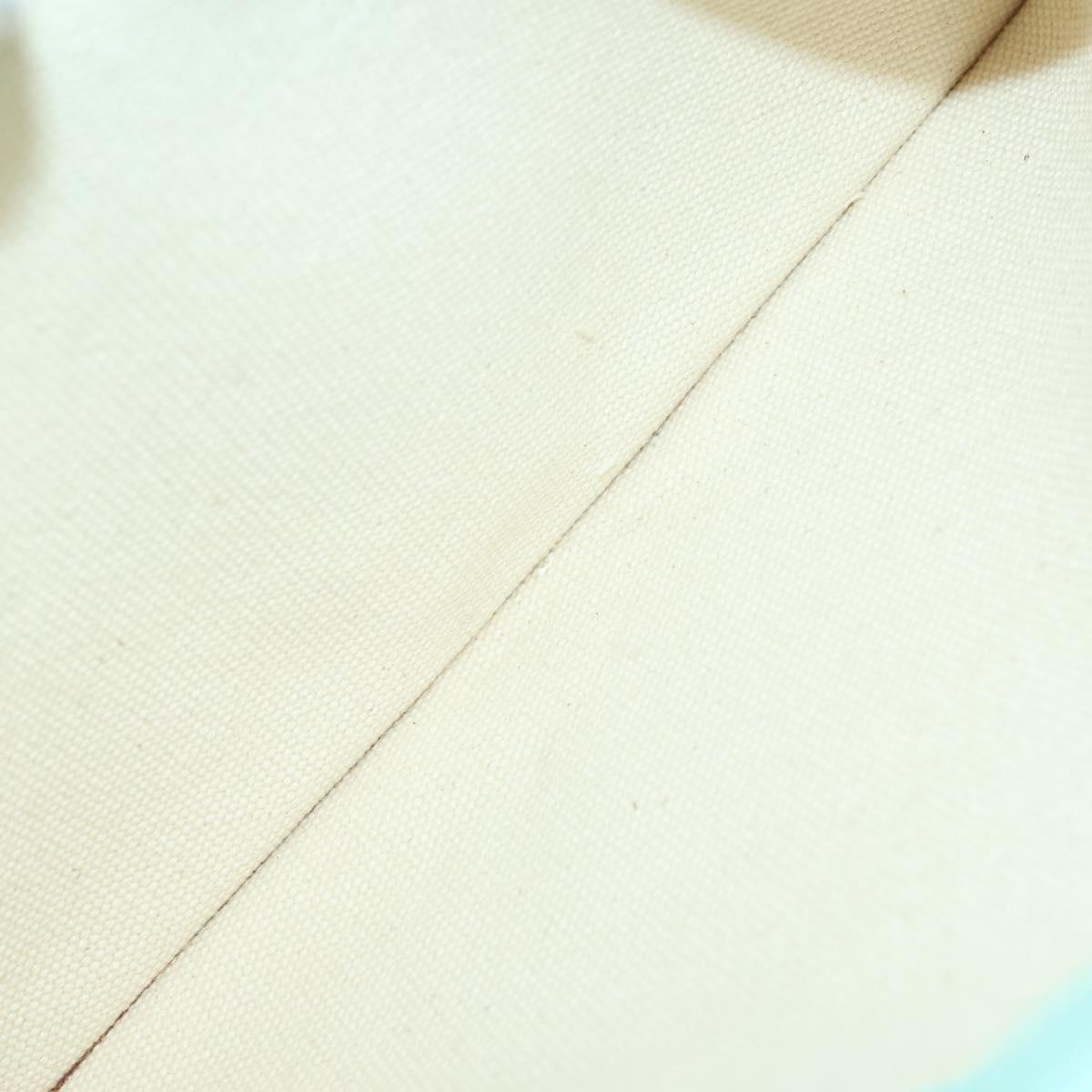 TIFFANY&Co. Hand Bag Canvas 2way White Silver Auth yk19846