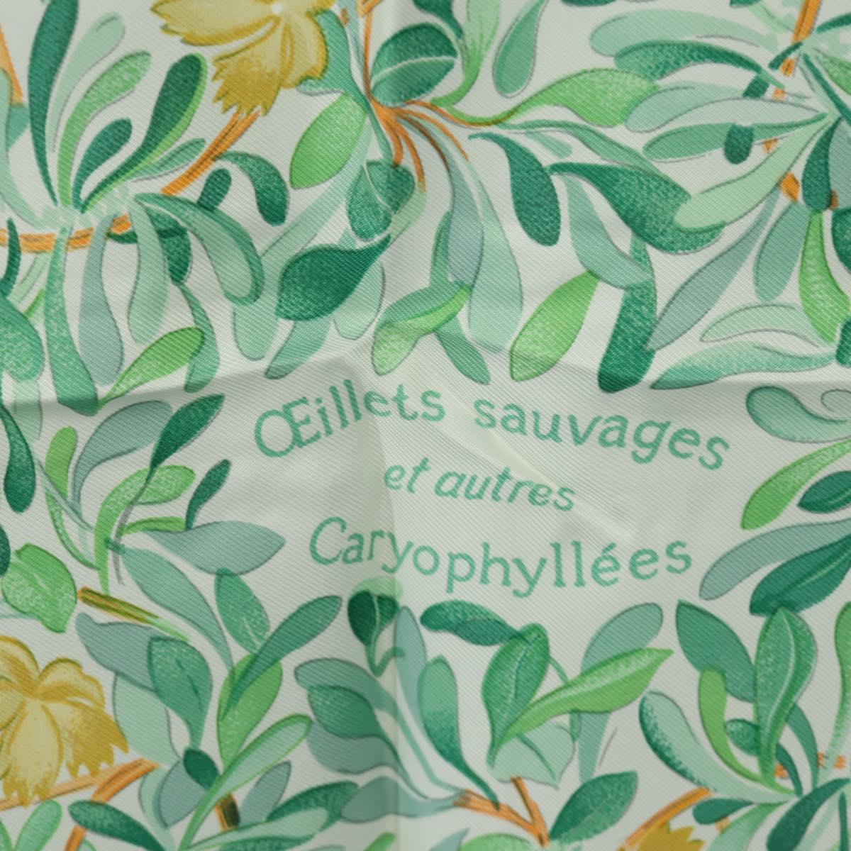 HERMES Carre 90 Scarf ""OEillets sauvages et autres"" Silk Green Auth yk20596M