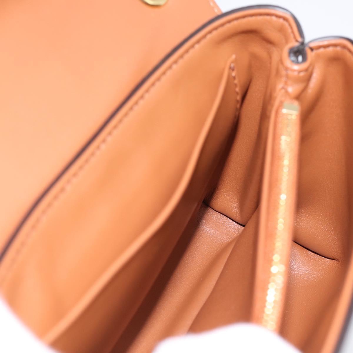 CELINE Triomphe Victoire Chain Shoulder Bag Leather Brown Gold Auth yk20866SAM