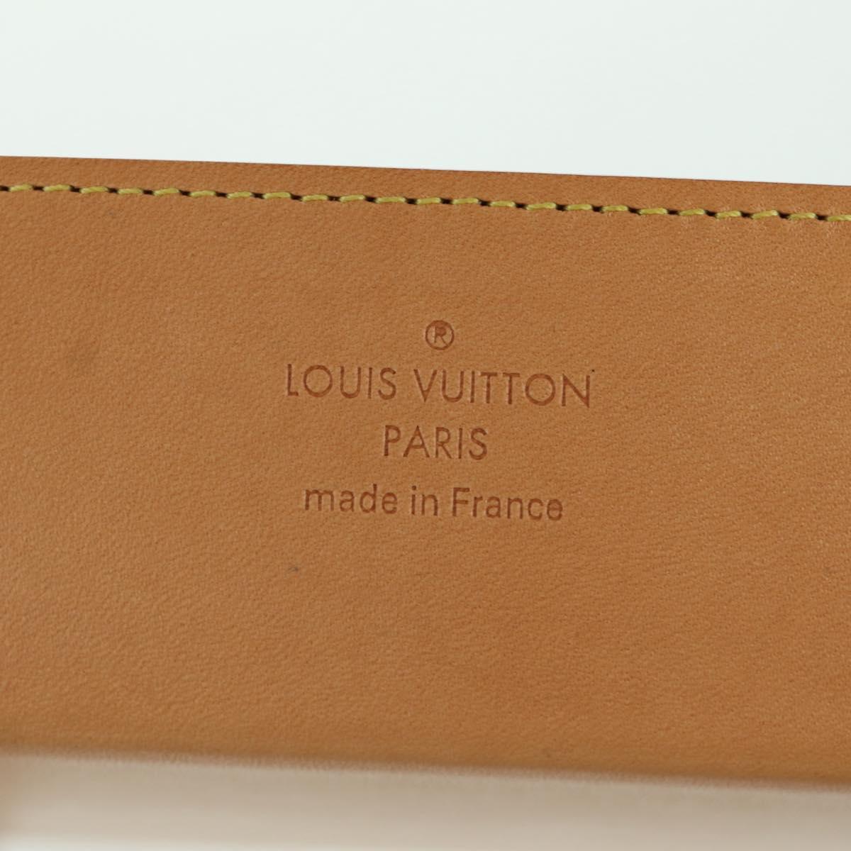 LOUIS VUITTON Monogram Wood Posh MM Accessory Case GI0150 LV Auth YKZ746M